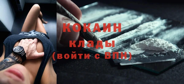винт Елизово