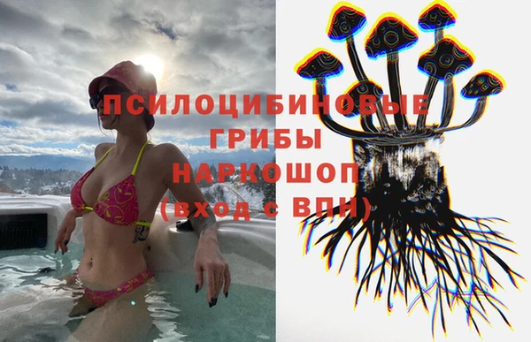 не бодяженный Алзамай