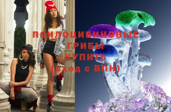 шишки Абдулино