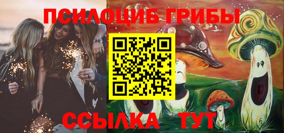 Галлюциногенные грибы Psilocybe  Псилоцибиновые грибы Psilocybine cubensis  Вход с VPN  Старая Русса 