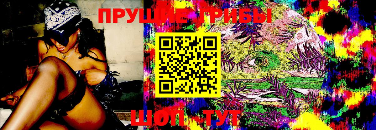 Галлюциногенные грибы Magic Shrooms Старая Русса